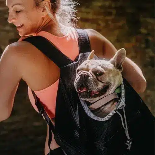 trasportino-cane-7-1.webp
